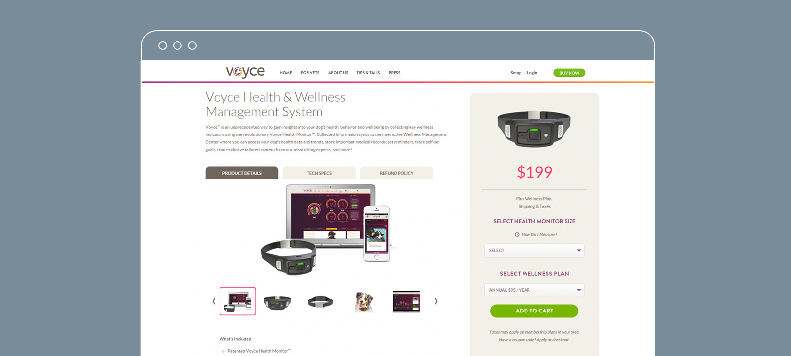 Voyce website