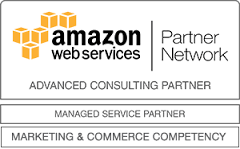 AWS Partner Logo