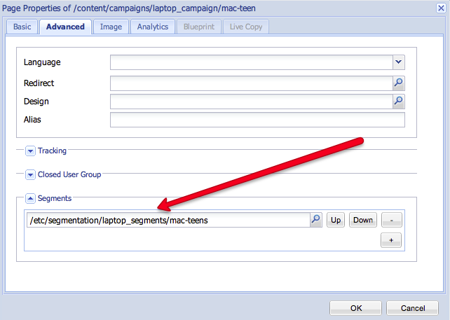 Configure the Campaign and Link Segments
